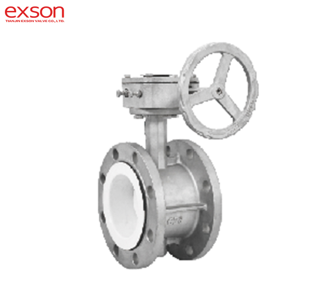 SS FLANGE Butterfly valve